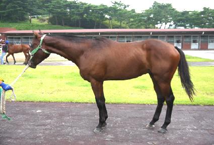 ���󸸻� ����