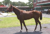 ��Ʋ¯ (GENTLE JJANG) ����