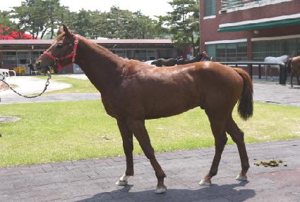 ��Ʋ¯ ����