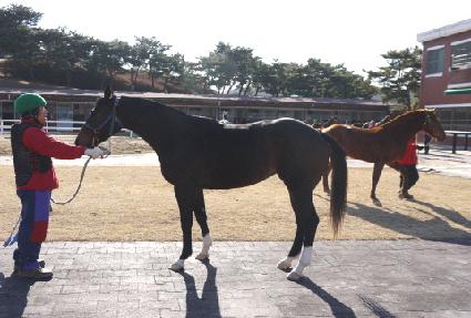 ��ſ�ķ�� ����