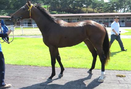 ����ķ�� ����