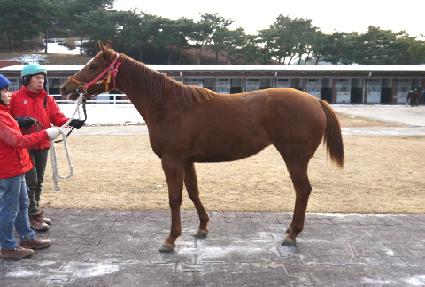 ���ڰ��� ����