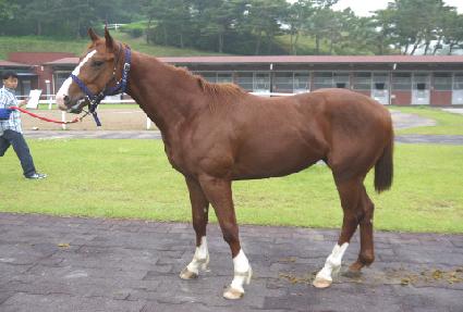 ���ڻ��� ����