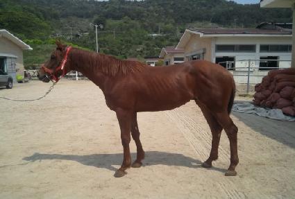 ���ʽ�Ĺ ����