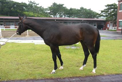 ����Ʈ���� ����