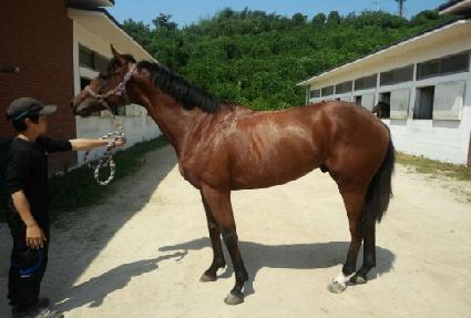 ���ʴ� ����