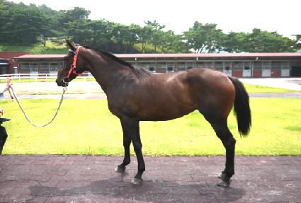 ���λ轺 ����