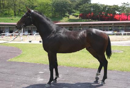 ������ ����