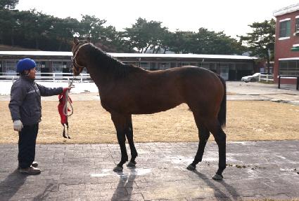 ������� ����