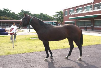 �ؽ�Ʈ�� ����