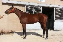 GANGNAM CAMP picture