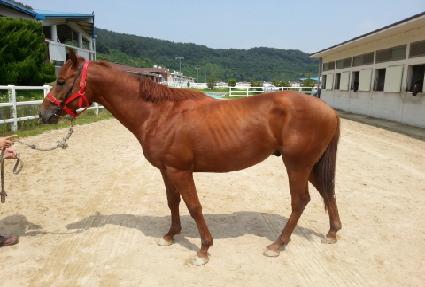 ����� ����