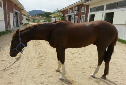 ǻ���Ʈ ����