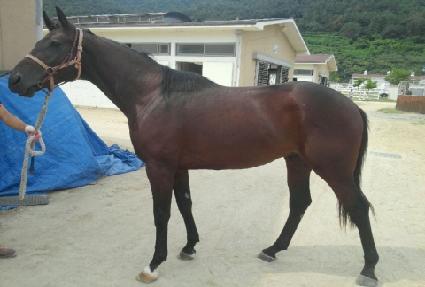 �������º� ����