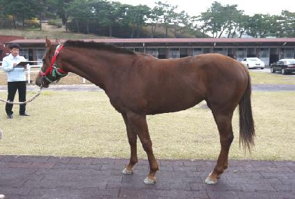 ���Ž� ����