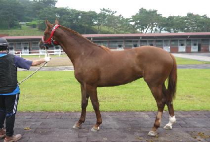 �ޱ��� ����