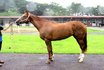 �ð����ĸӽ� (ORGANIC PHARMACY) ����