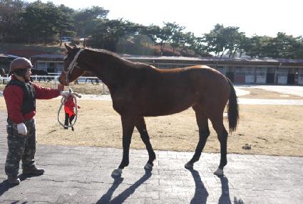 �����Ǻ� ����