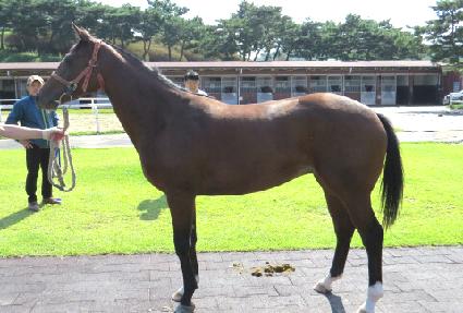 ����÷��� ����