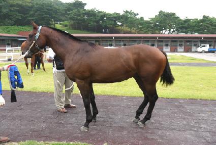 �����÷��� ����