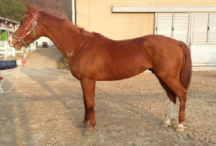 ���丮�� ����