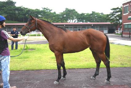 ����ǽ� ����