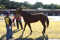 ��õ�� (YONGCHEONJI) ����