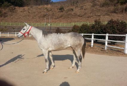 ȭ��Ʈ�̱� ����