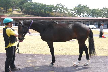 ������ ����