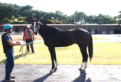 ��������Ƽ ����