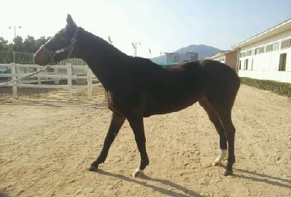 ��ǳ ����