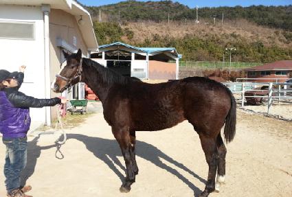 �ο����� ����