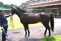 ���������� (BLESS OCEAN) ����