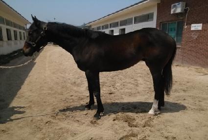 ���̺긮�� ����