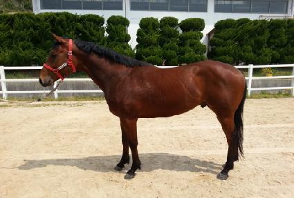 ������ ����