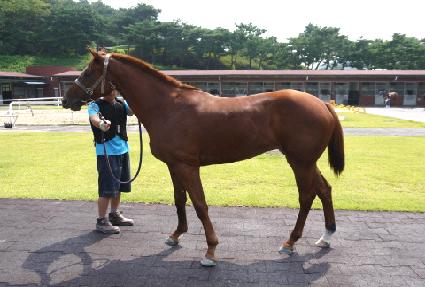 ���� ����