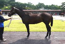 ���� (BIG TWO) ����