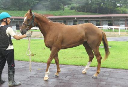 �������� ����