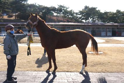 ��Ʈ���̾� ����