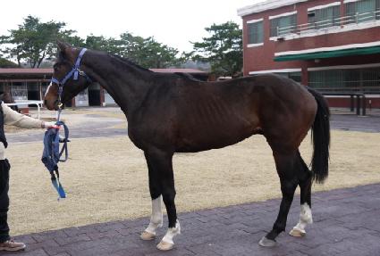 ��ȣ ����