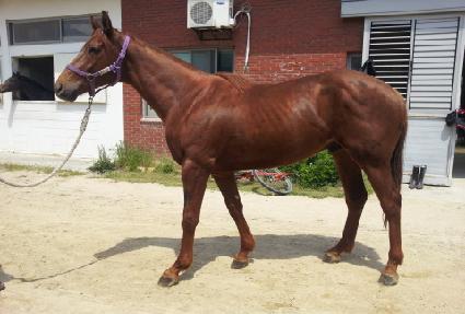 õ�Ͽ︲ ����