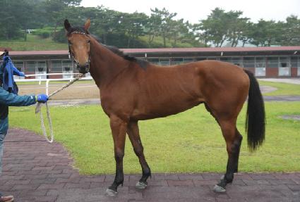 �ݺ�ȯ�� ����