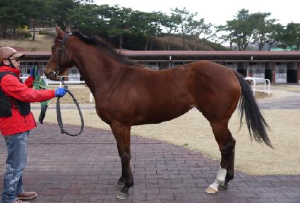 ����� ����