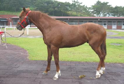 ��Ʈ�Ŀ� ����