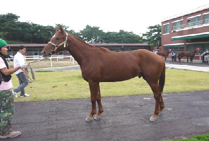 õ������ ����