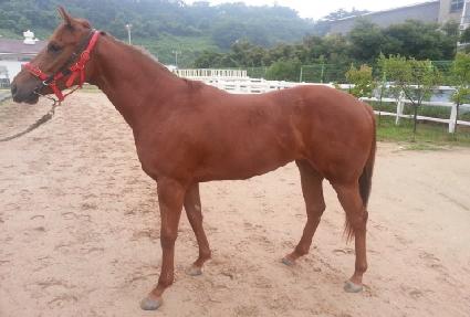 �������Ʈ ����