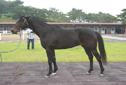 ��õ�Ÿ� ����