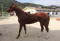 ���ǵ��� (HAPPY DONGSAN) ����