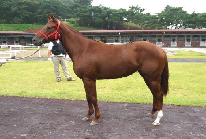 ȭâ�ѳ� ����