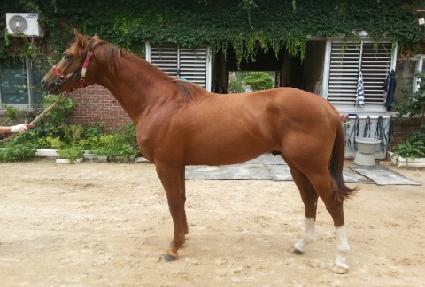 ������ǳ ����